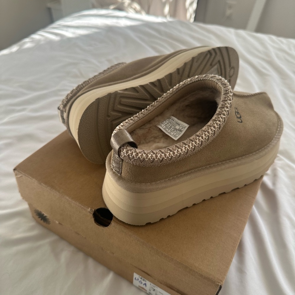 Brand new ugg mustard seed tasmans